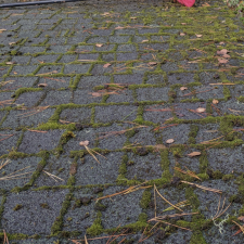 Roof-cleaning-in-Pebble-Beach-California-1 1